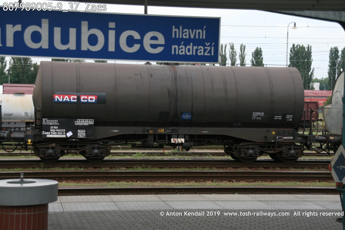 807989005-9_37_Zaes.JPG